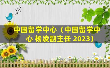 中国留学中心（中国留学中心 杨凌副主任 2023）